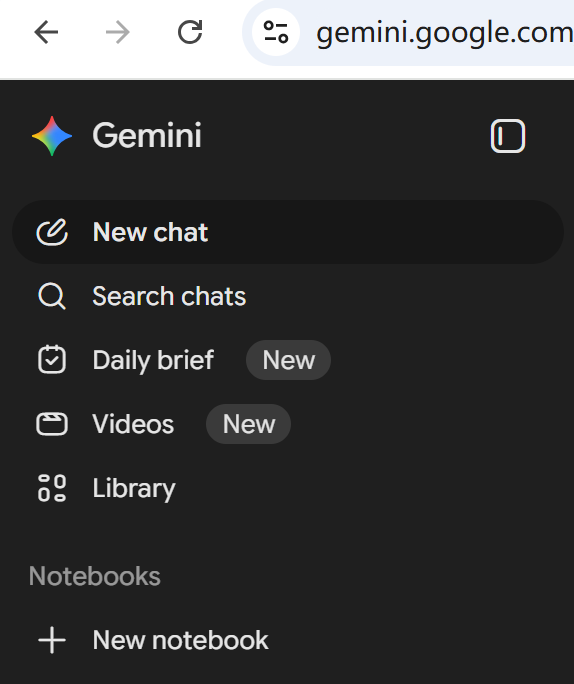 访问 `gemini.google.com` 一切正常